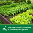 thumbnail image 3 of 40 lb. All Purpose 13-13-13 Fertilizer for Plants and Gardens, 3 of 5