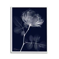Stupell Industries Dynamic Dark Flower Botanical & Floral Photography White Framed Art Print Wall Art, 11 x 14