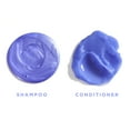 thumbnail image 3 of HASK Blonde Care Shampoo Sulfate-Free Blue Chamomile and Argan Oil, 12 fl oz, 3 of 7