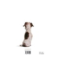thumbnail image 2 of Soy un perro, 2 of 2