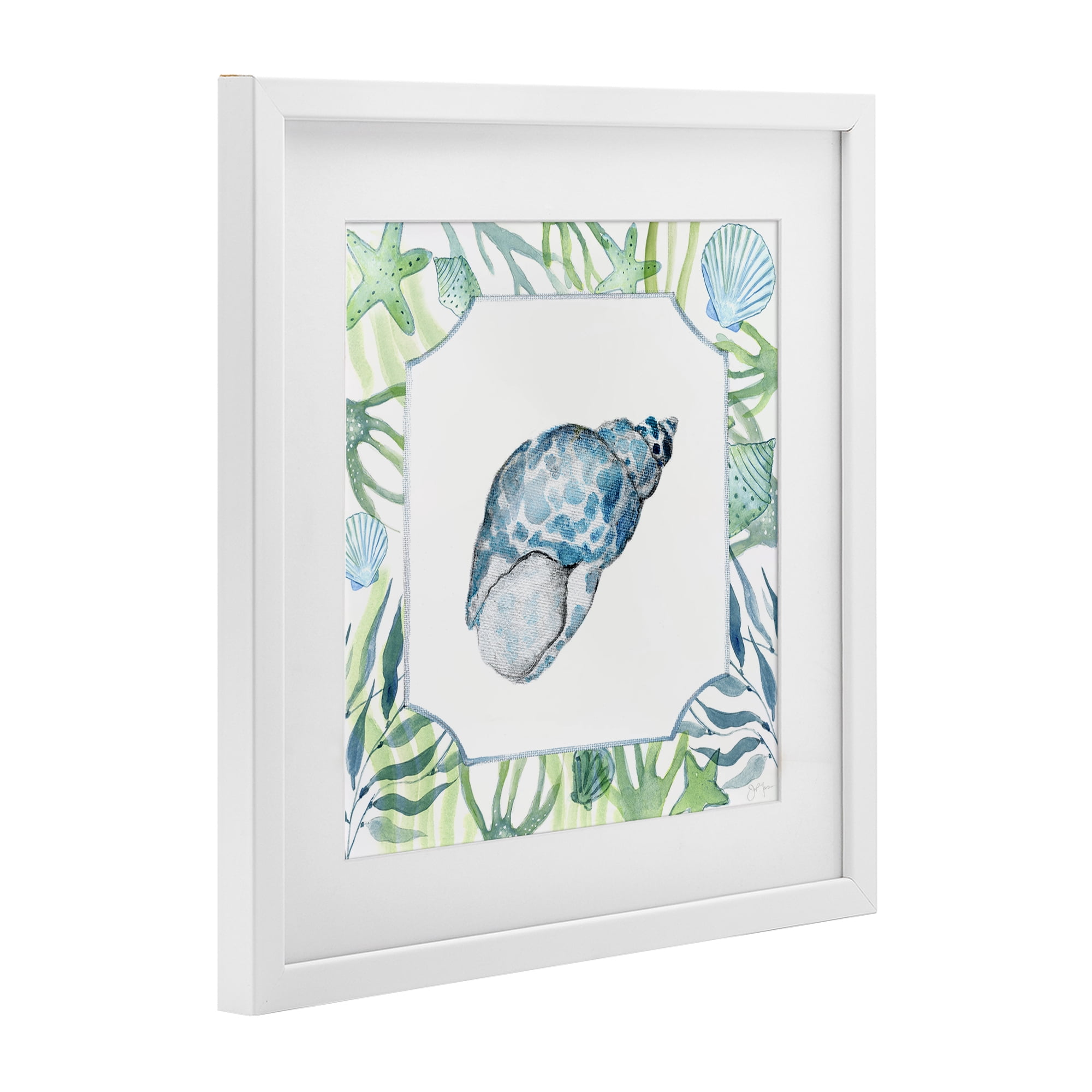 Stupell Industries Spotted Cowrie with Seaweed White Framed Print Under Glass, design by Janet Tava