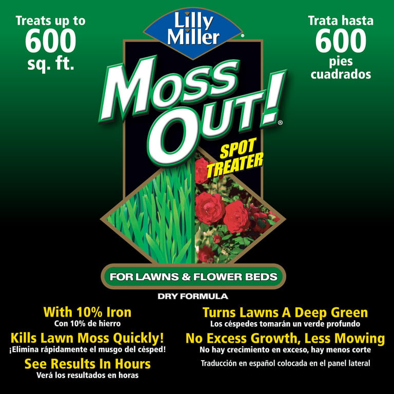 lilly miller moss out