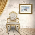 thumbnail image 3 of Vlasceanu, Mircea 14x11 Gold Ornate Wood Framed with Double Matting Museum Art Print Titled - No Hands Superflyer, 3 of 4