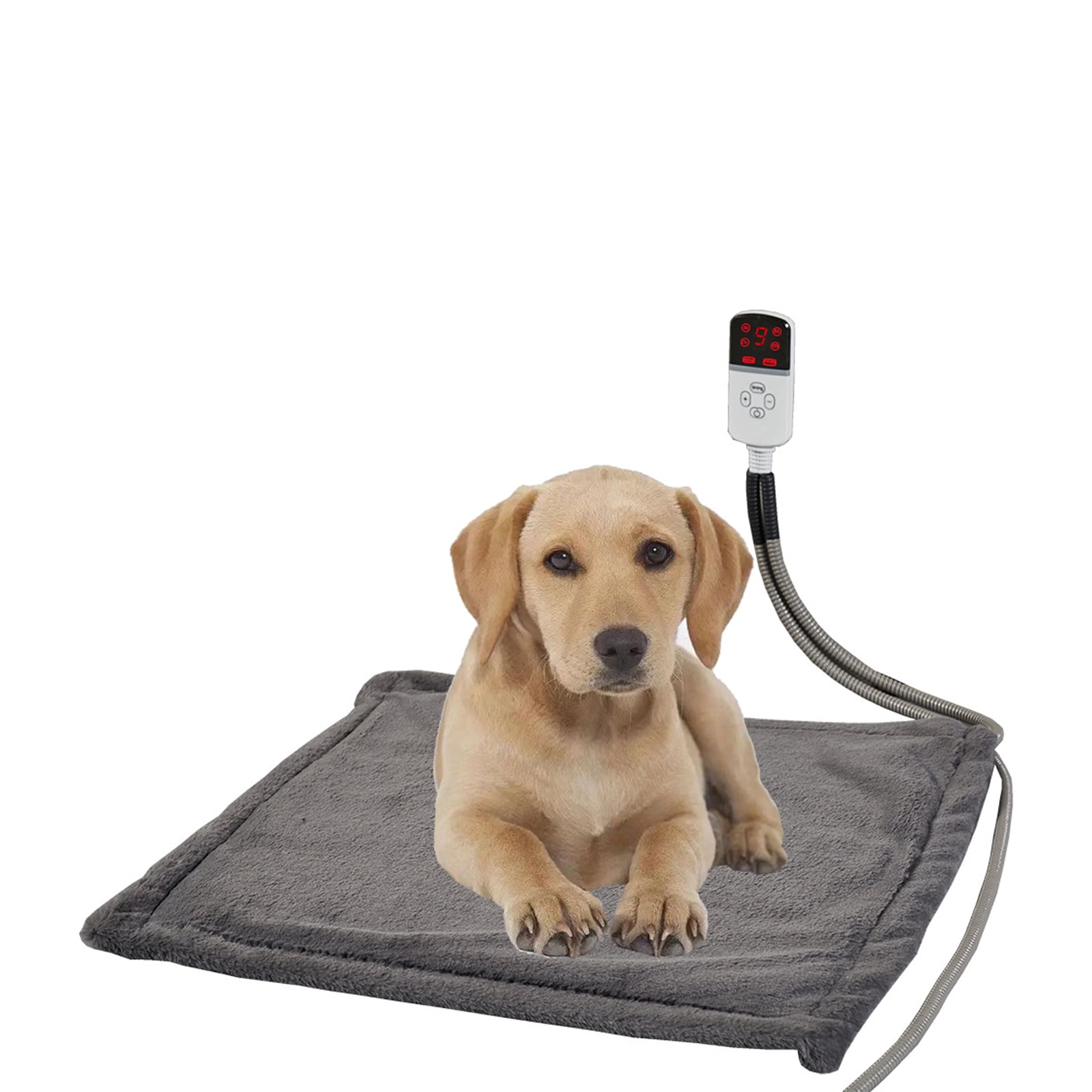 Are Heating Pads Safe For Dogs