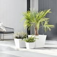 thumbnail image 3 of Ecopots Rotterdam Durable Modern Square Indoor/Outdoor Recycled Based Composite Flower Planter, Pure White, 8", 3 of 4