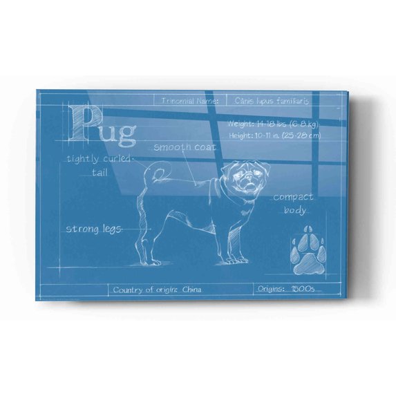 Epic Art 'Blueprint Pug' by Ethan Harper Acrylic Glass Wall Art, 16"x24"