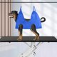 thumbnail image 2 of Hamaca para perros jinwen Hamaca de aseo de mascotas, 2 of 8