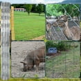 thumbnail image 3 of Memoryfield 5ft x 164ft Galvanized Livestock Fence, Wire Cattle Farm Fence for Cattle, Goat Yard, 3 of 8