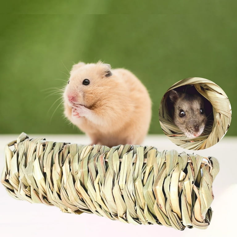Syrian hot sale hamster tunnels