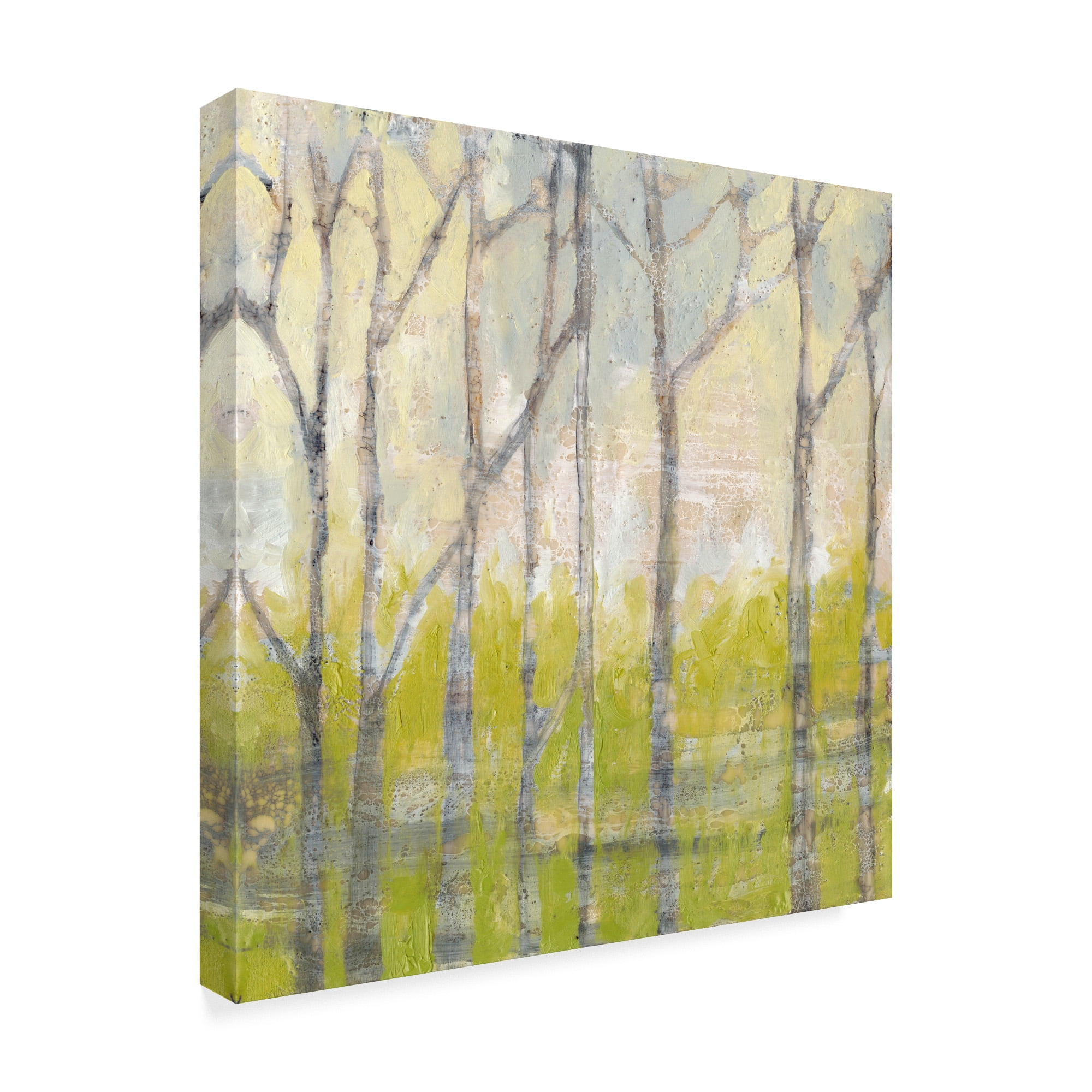 Trademark Fine Art 'Whispering Treeline II' Canvas Art by Jennifer Goldberger