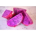 thumbnail image 6 of Dragon Fruit Plant: A Tropical Delicacy, Editable Flower and Fruit, 6 of 6