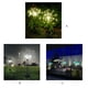 thumbnail image 5 of Toystoory 2 uds., lámpara de fuegos artificiales de diente de león con globo de hierba para exteriores con energía Solar, 90/120/150 LED para lámpara Iluminación y accesorios luz blanca 90LED Toystoory HA005492-02, 5 of 6