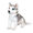 Gray-7.9in, variant on Plush Husky Stuffed Animal - Realistic Pet Puppy Plush Toy - Precious Companion - Squat 8.7 Inches