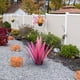 thumbnail image 4 of Xihbxyly Planta de Hierro de Tequila, Escultura Artesanal de Hierro, Diseño Único con Detalles En Azul, Arte Moderno para Jardín o Patio, Elegante Decoración para El Hogar, 55 Cm de Altura, Decoració, 4 of 4