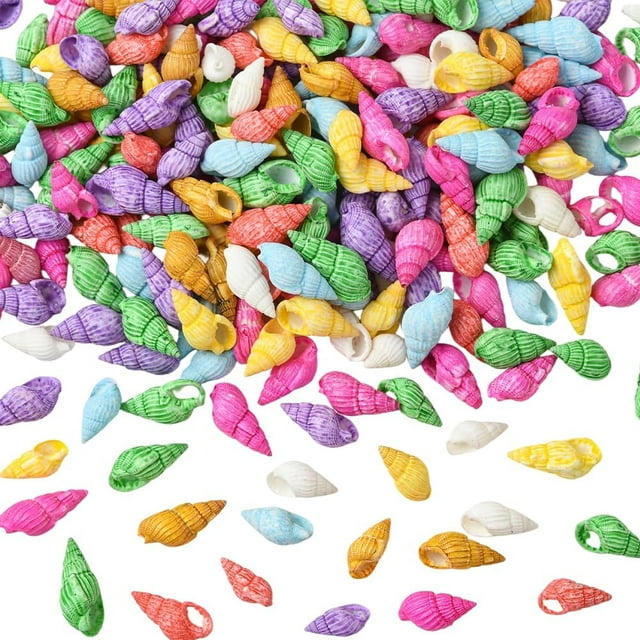 500 mini conchas marinas en espiral, cuentas de concha sin agujero, colores aleatorios, para el océano, verano, playa de Hawái, conchas marinas pequeñas y coloridas.
