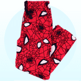thumbnail image 6 of Marvel Spider-Man Boys Plush Fleece Lounge Pajama Pants SM407BPT, 6 of 7
