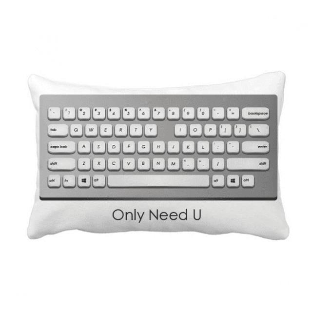 Clavier Programmeur Seulement Besoin U Jeter Oreiller Insert Lombaire Housse de Coussin Décoration de la Maison