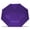 Purple, variant on Misty Harbor Rain Umbrella with AOC Carabiner Clip, Auto Open Auto Close
