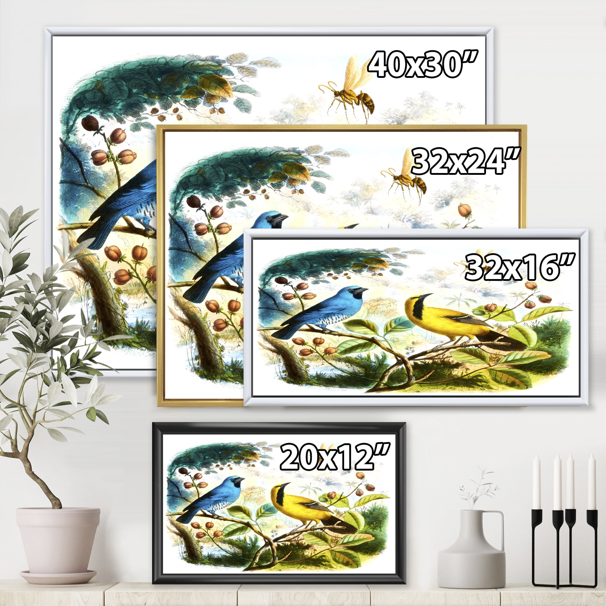 Designart 'Yellow and Blue Bird In The Wild' Traditional Framed Canvas Wall Art Print