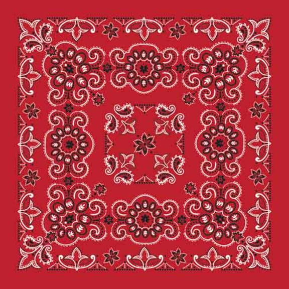Bandanna Co Texas Paisley, Red   Navy