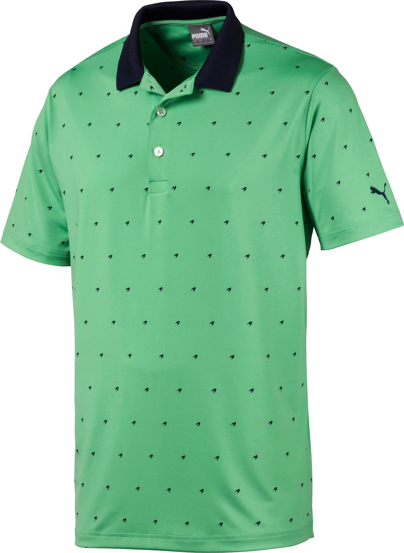 preço polo pcd 2020