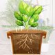 thumbnail image 5 of Protector De Árbol Con Mantillo De Fibra De Coco, 11,8 Pulgadas, Cubierta Natural De Fibra De Coco Para Macetas, Cubierta De Disco Para Árboles, Para Interior Y Exterior., 5 of 8