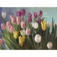thumbnail image 3 of Strube, Ling 24x19 Black Modern Framed Museum Art Print Titled - Tulips III, 3 of 5