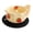 A, variant on Swirl Bowl,Self Spinning Berry Bowl with Drain Holes,Automatic Gentle Swirl Rinse Bowl for Strawberries,Blueberries,Grapes,Tomatoes,5.9x3.1 Inch,Blue