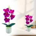 thumbnail image 2 of Artificial Flowers for Outdoors - Dienrx Artificial Plastic Bottles Artificial Plants Flowers Arrangement Flowers Artificial Decorations Home Decorations Kitchen Decorations Tabletop Centerpi, 2 of 9