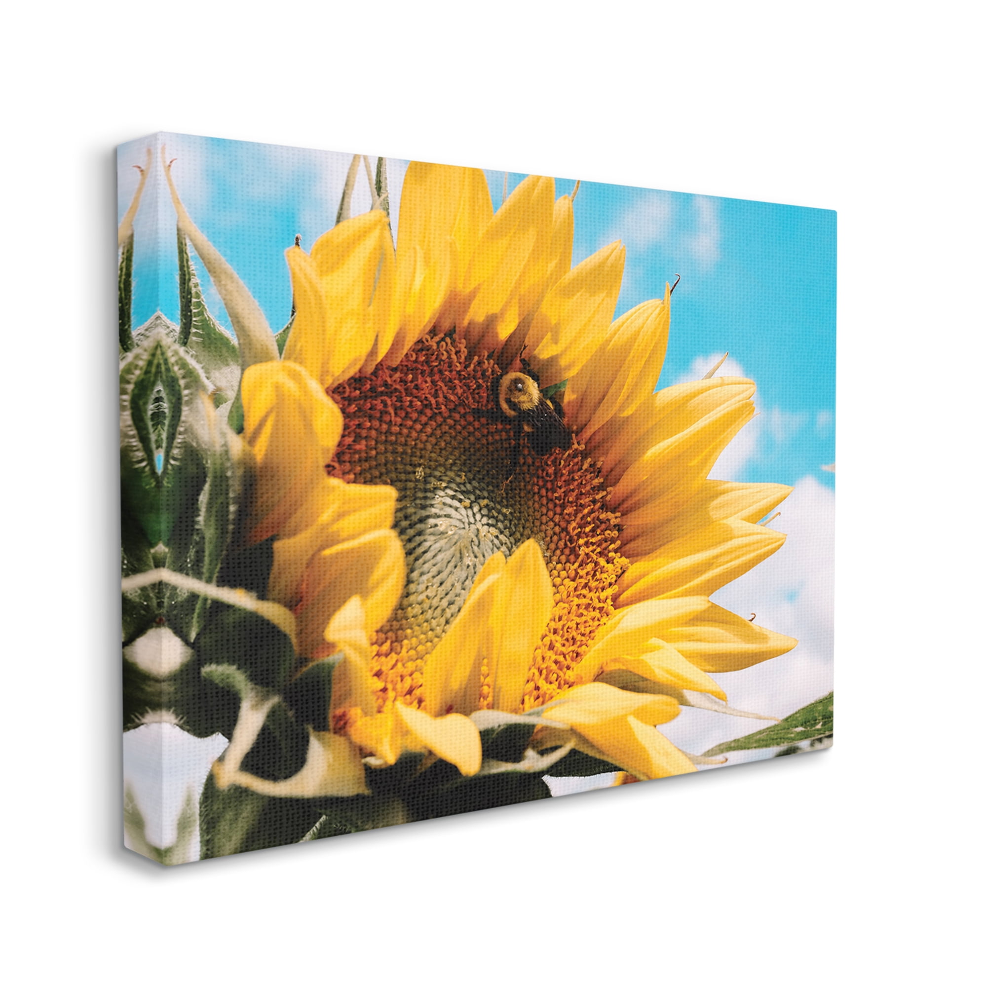 Stupell Industries Summer Sunflower Blossom Pollinating Honey Bee Photography Photograph Gallery Wrapped Canvas Print Wall Art, Design by Hey Bre! Creative Studio