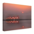 thumbnail image 4 of Anna Cseresnjes 'Purple Sunset' Canvas Art, 4 of 4
