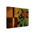 thumbnail image 2 of Trademark Fine Art 'Red Flower Over Dark Panels 1' Canvas Art by Pablo Esteban, 2 of 3