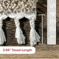 thumbnail image 6 of nuLOOM Neva Modern Tasseled Shag Beige 5' 3" x 7' 7" Modern Area Rug, 6 of 11