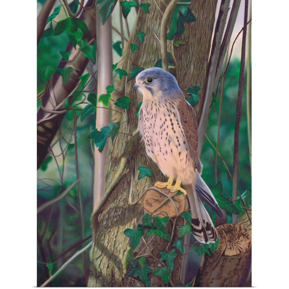 Great BIG Canvas | Rolled Karie-Ann Cooper Poster Print entitled Hidden Enemy