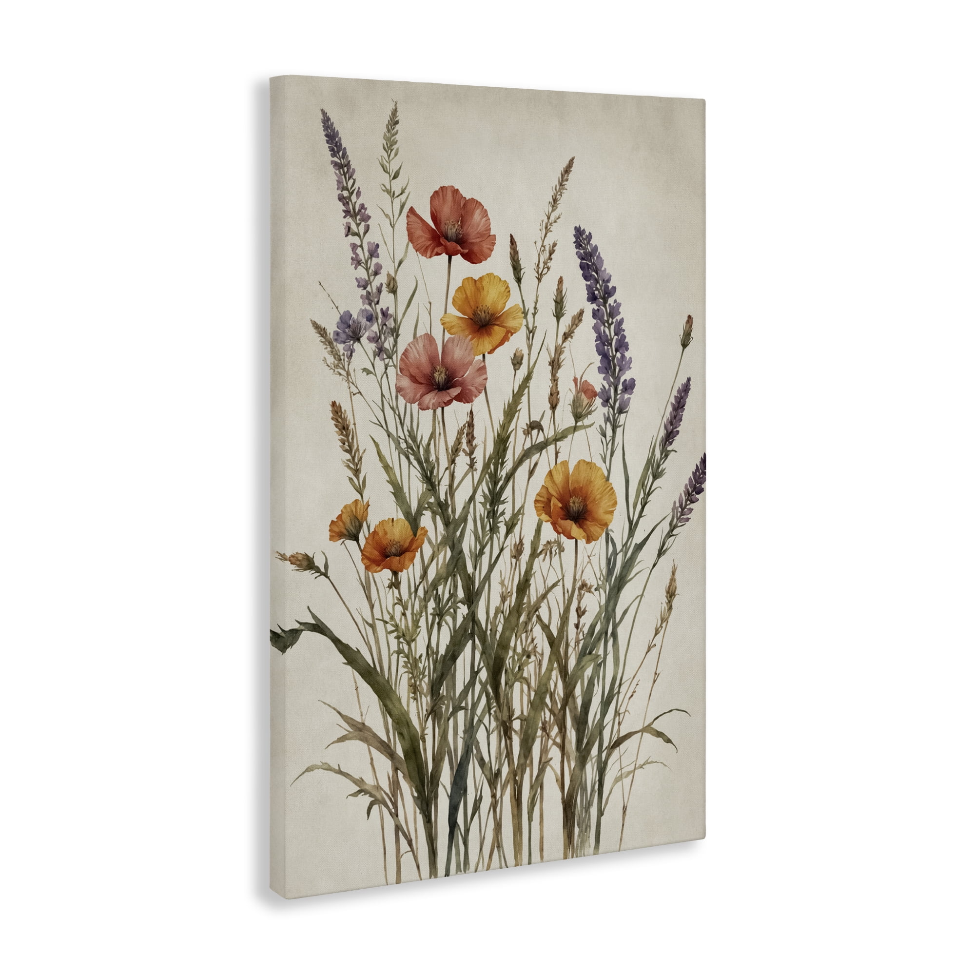 Stupell Industries Vintage Collection of Meadow Botanicals Canvas Wall Art, design by Nataly White