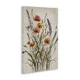 thumbnail image 2 of Stupell Industries Traditional Vintage Collection of Meadow Botanicals Canvas Art, 24 x 36, by Nataly White, 2 of 8