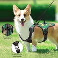 thumbnail image 4 of Pet Vest For Walking With Handle Adjustable Reflective Dog Cat Harness Hand-drawn Food, 4 of 7