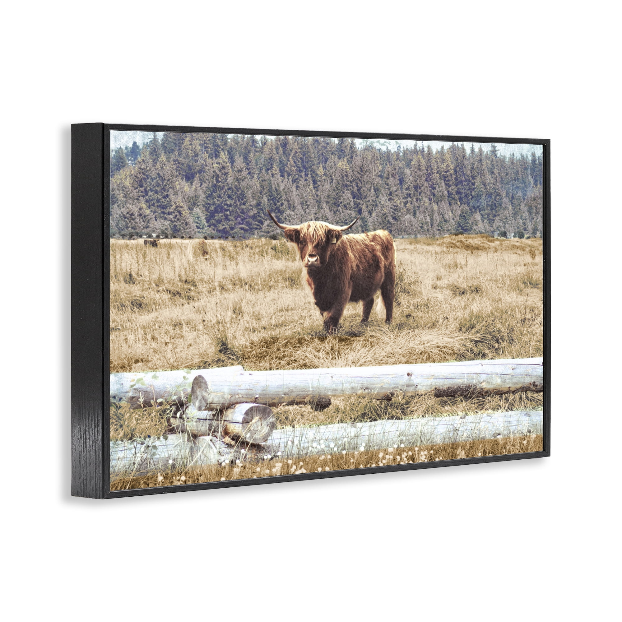 Stupell Industries Country Cattle with Fence Animals & Insects Photography Black Framed Art Print Wall Art, 18 x 12