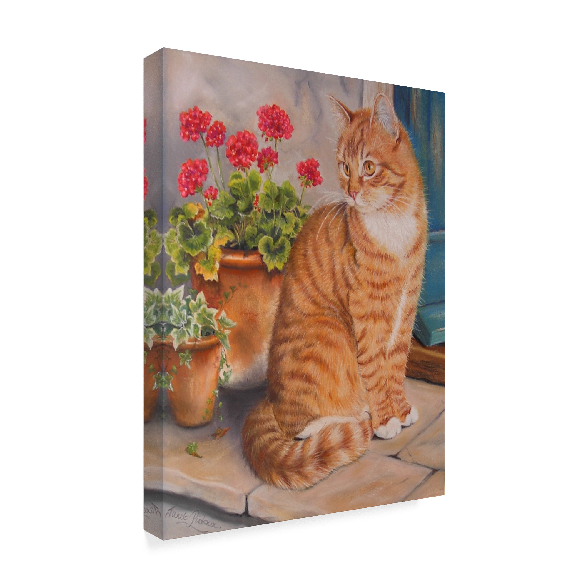 Trademark Fine Art 'Ginger Cat On Doorstep' Canvas Art by Janet Pidoux