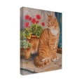 thumbnail image 2 of Trademark Fine Art 'Ginger Cat On Doorstep' Canvas Art by Janet Pidoux, 2 of 3