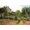 Unframed, variant on Art.com The Artist Garden at Eragny Art Print by Camille Pissarro, Brown Frame Wall Art, 44" x 32"