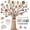 Boho, variant on to School Bulletin Board Our Class Family is Picture  Bulletin Board Set Colorful Picture Frame Classroom Decor Composition Tree DIY Photo Crafts Cutouts for School Office Teacher Supplies