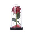 thumbnail image 1 of Naiovety Rose Flower Glass Cover con lámpara Adornos decorativos LED Rose Flower Almacenamiento y organización del hogar Naiovety HA023270-00, 1 of 1