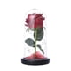 thumbnail image 1 of Rose Flower Glass Cover Con Lámpara Adornos Decorativos Led Rose Flower Cateissary HA023270-00, 1 of 7