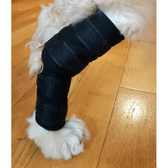 Soutien thérapeutique jarret de sapin Vet Therapy pour petits chiens