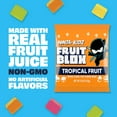 FruitBlox Ninja Kidz Juicy Tropical Gummy Blocks, Kids Fruit Snacks, 22