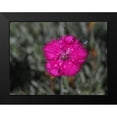 thumbnail image 2 of Bonin, Suzanne 14x12 Black Modern Framed Museum Art Print Titled - Wet Wild Earth, 2 of 5