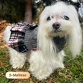 thumbnail image 3 of Jersey KYEESE para perros, vestido cálido a cuadros para perros pequeños, color gris, 3 of 8