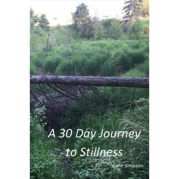 A 30 Day Journey to Stillness, (Paperback)