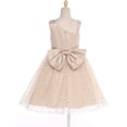 thumbnail image 5 of Alvivi Kids Sleeveless Chiffon Tulle Dress Flower Girls Wedding Pageant Bridesmaid Dress Birthday Party Champagne 130, 5 of 6